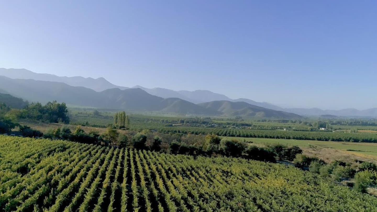 Vina Lof - Maipo Valley Bed & Breakfast In Winery Paine Exterior photo