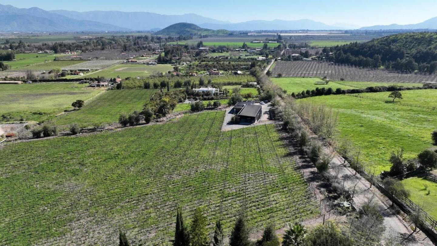 Vina Lof - Maipo Valley Bed & Breakfast In Winery Paine Exterior photo
