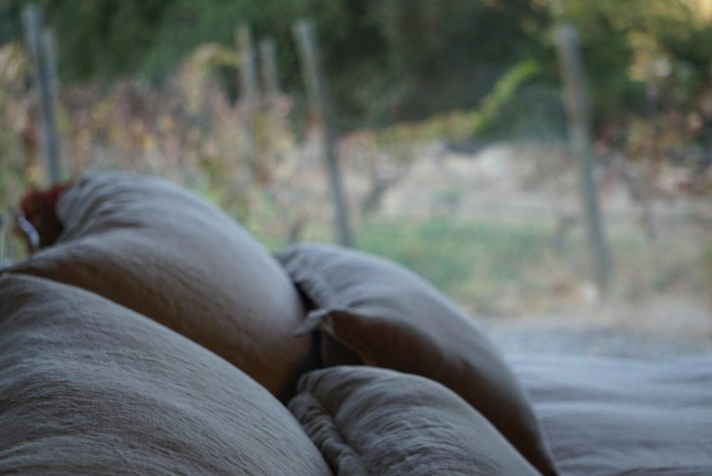 Vina Lof - Maipo Valley Bed & Breakfast In Winery Paine Exterior photo