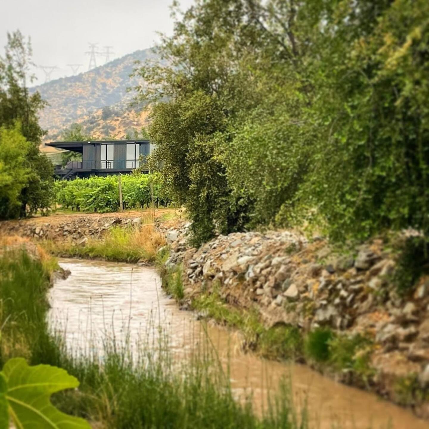 Vina Lof - Maipo Valley Bed & Breakfast In Winery Paine Exterior photo