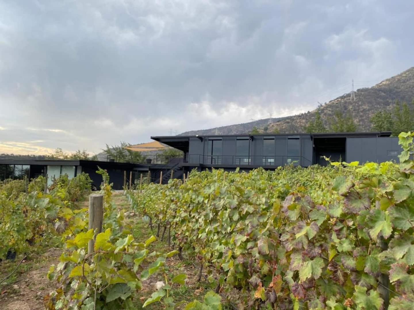 Vina Lof - Maipo Valley Bed & Breakfast In Winery Paine Exterior photo