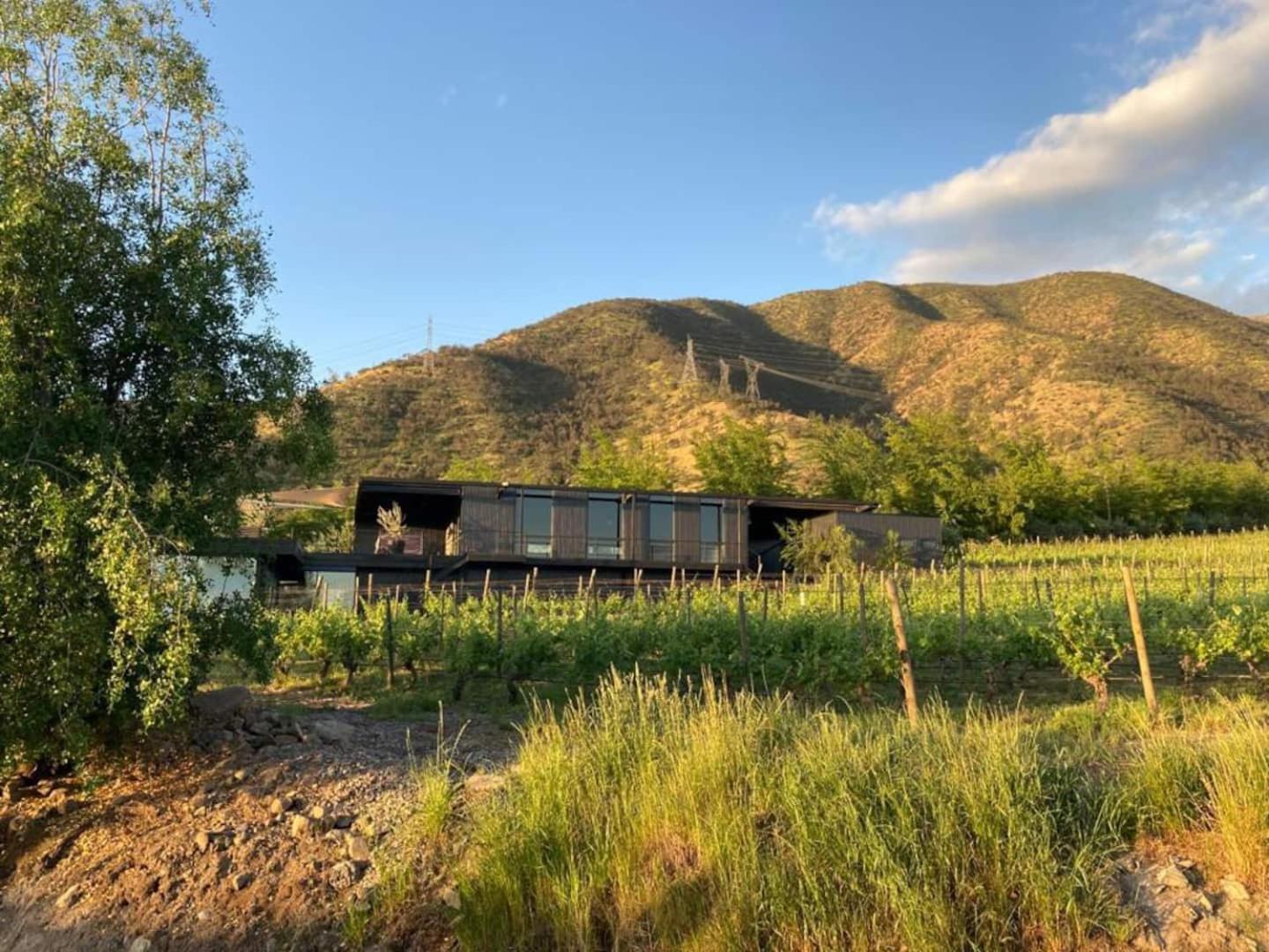 Vina Lof - Maipo Valley Bed & Breakfast In Winery Paine Exterior photo